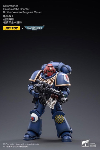 Veteran Sergeant Castor от JOYTOY
