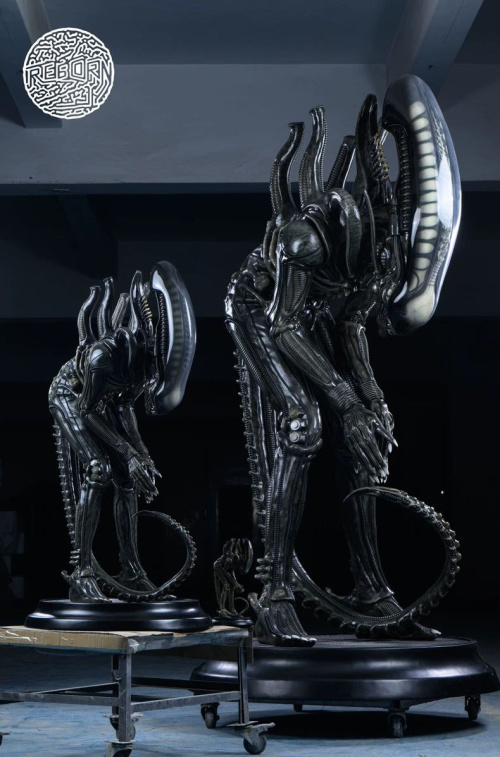 Xenomorph от Reborn Studio