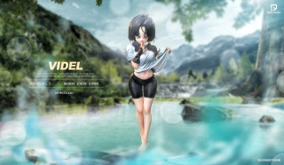 Videl от Deyin Studio