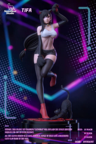 Tifa Lockhart от NekoNest Studio