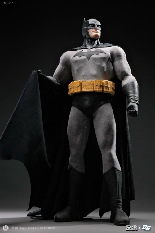 Batman от SSR, DGtoys