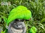 Фигурка Totoro от BBSD Studio