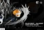 Фигурка Hornet, Hollow Knight, The Pale King, The Knight, Broken Vessel, Siblings от RD Radiance Studio, ST Custom