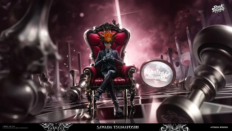 Фигурка Tsunayoshi Sawada от Peak Studio