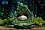 Фигурка Totoro, Mei Kusakabe от OPM Studio