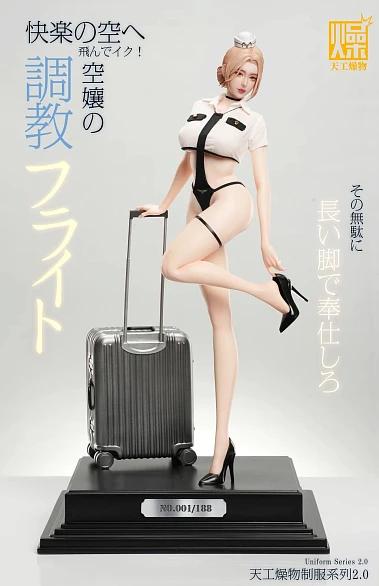 Фигурка Flight Attendant 2.0 от TGZW Studio Комплект одежды 2