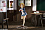 Фигурка Ritsu Tainaka от Good Smile Company