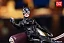 Фигурка Catwoman от Play One Twelve Обычная версия