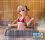 Фигурка Eriri Spencer Sawamura от Sega