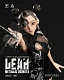 Фигурка Leah Metallic Odonata от Beautiful Chemistry