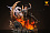 Фигурка Levi Ackerman от Model Power Studio