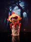 Фигурка Calcifer от Long Miao Studio Версия A
