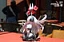 Фигурка Hornet, Grand Mother Silk от 27Abyss Studio