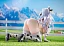 Фигурка Shion Blankness от Phat!
