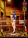 Фигурка Bunny Cop 02 от Good Smile Company, Luminous box