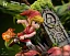 Фигурка Blue Link, Green Link, Red Link, Purple Link от Wake Studio