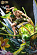 Фигурка Roronoa Zoro от MJ Studio