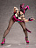 Фигурка Han Juri от FREEing
