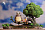 Фигурка My Neighbor Totoro от ShenYin Studio