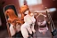 Фигурка Asuka Langley Soryu от 24K Studio