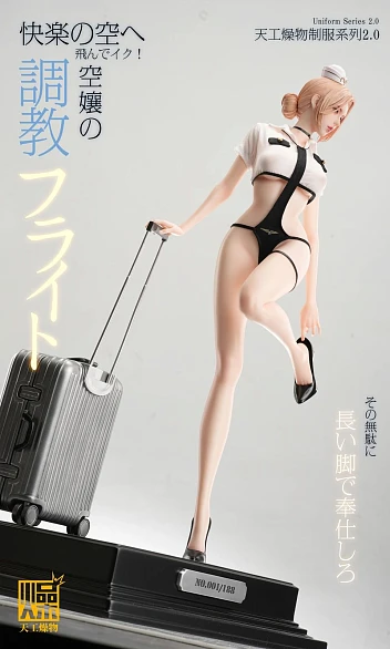 Фигурка Flight Attendant 2.0 от TGZW Studio Комплект одежды 2