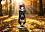 Фигурка Fern от QiChen Studio