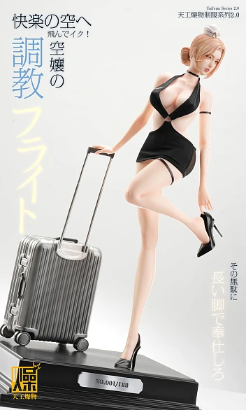Фигурка Flight Attendant 2.0 от TGZW Studio Комплект одежды 1