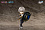 Фигурка Caelus от PICCODO Action Doll (Genesis)