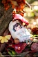 Фигурка Autumn's Arrival от EUSUN Делюкс версия