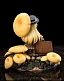 Фигурка Pleurotus Citrinopileatus от Reverse Studio