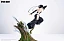 Фигурка Yoruichi Shihouin, Soi Fon от POP.ART Studio Версия A