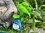 Фигурка Totoro от BBSD Studio