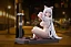 Фигурка Black Hanekawa от Hero Goblin Studio