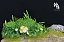 Фигурка Totoro от ShenYin Studio