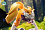 Фигурка Renamon от Ke Nai Rou Dan Wu Studio