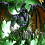Фигурка Illidan Stormrage от HERO TOYS