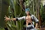 Фигурка Grimmjow Jaegerjaquez от POP.ART Studio