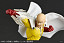 Фигурка Saitama  от Kaiyodo