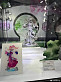 Фигурка Lacus Clyne от  Bandai STUDIO