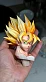 Фигурка Son Goku от EM Studio