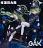 Фигурка Tachibana Hikari, Tachibana Nozomi от GAK Studio Стандартная версия