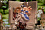 Фигурка Alice Riddle от APEX-TOYS