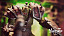 Фигурка Orc Mercenary Captain Kagas от Memory Toys