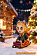 Фигурка Kyojuro Rengoku от PomPon Studio