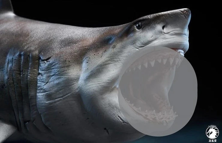 Фигурка Great White Shark от Wanlongtang