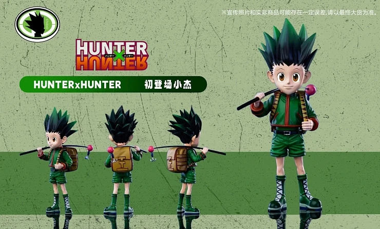 Gon Freecss от DC Studio